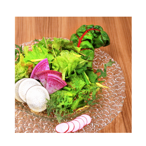 三浦直送元気野菜のファンタジーサラダ